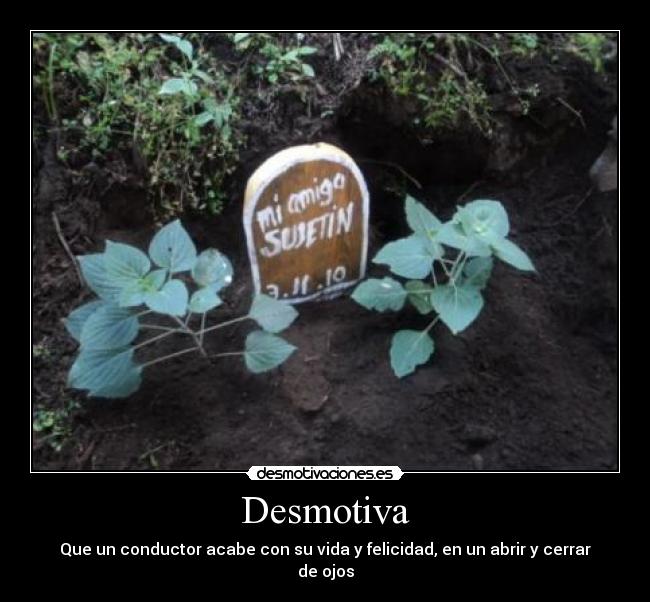 carteles sentimientos mascotas desmotivaciones