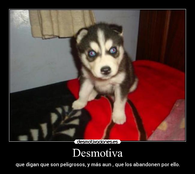 Desmotiva -