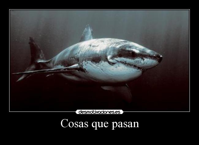 carteles desmotivaciones