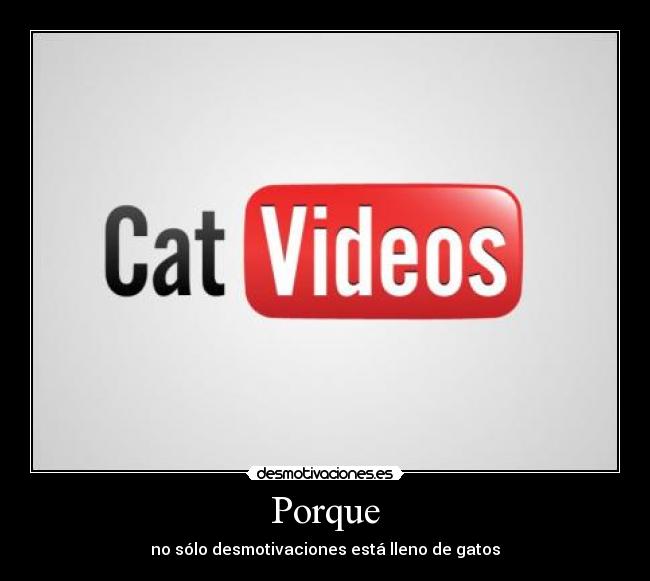 Porque - no sólo desmotivaciones está lleno de gatos