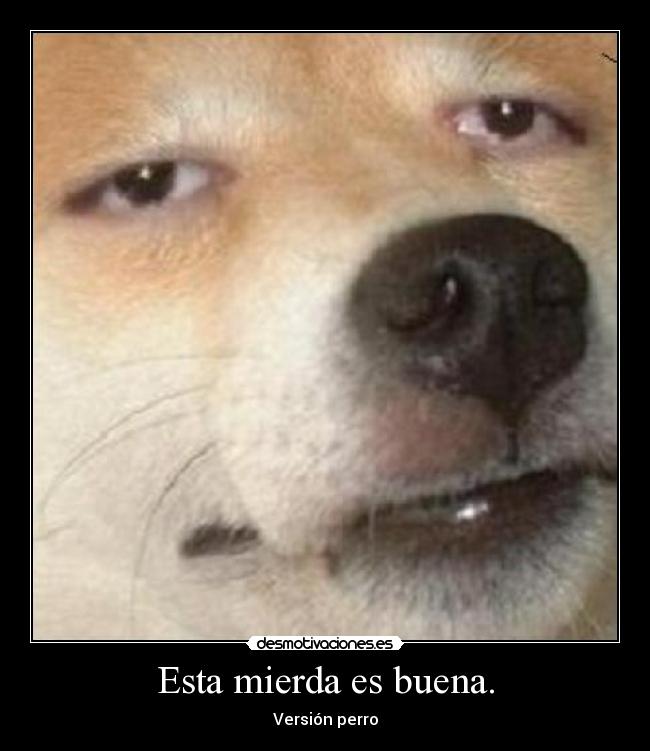 Esta mierda es buena. - Versión perro