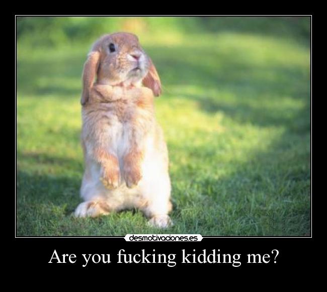 Are you fucking kidding me? -