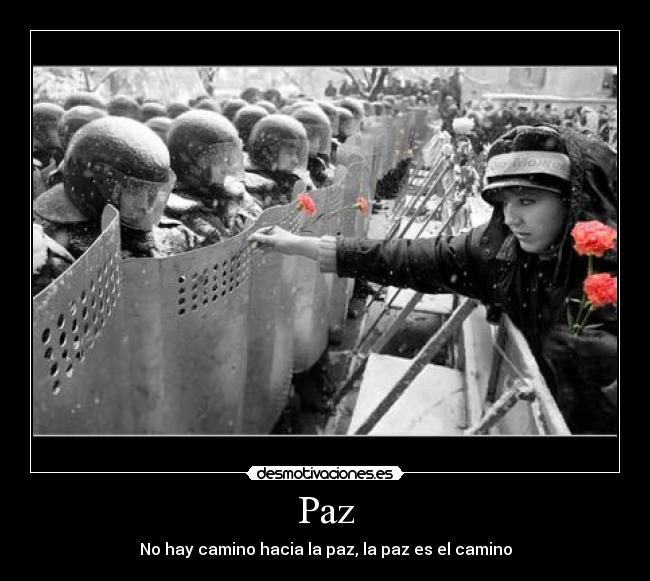 carteles paz desmotivaciones