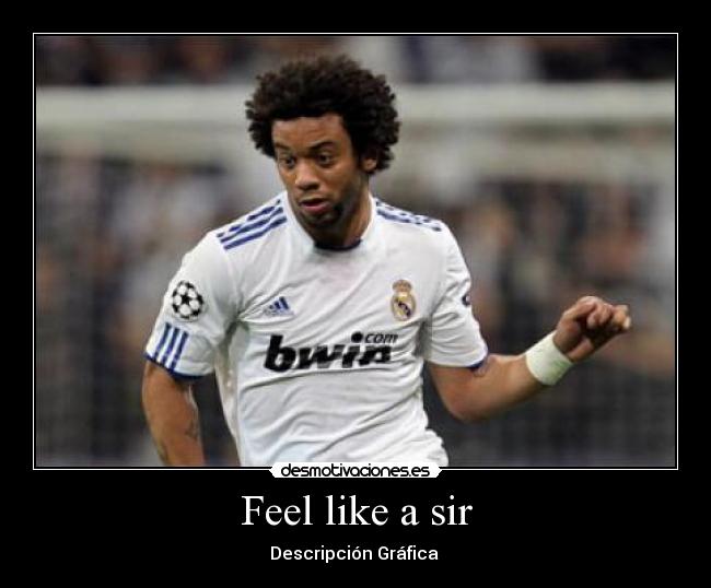 Feel like a sir - Descripción Gráfica