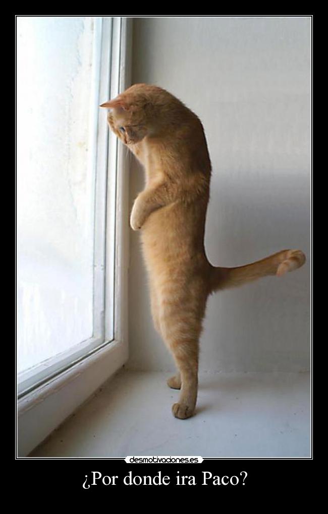¿Por donde ira Paco? -