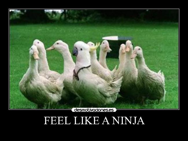 FEEL LIKE A NINJA -