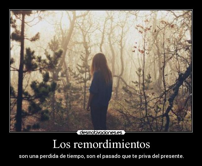Los remordimientos - son una perdida de tiempo, son el pasado que te priva del presente.
