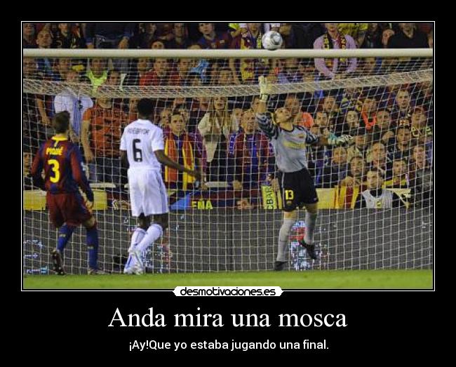 Anda mira una mosca - 