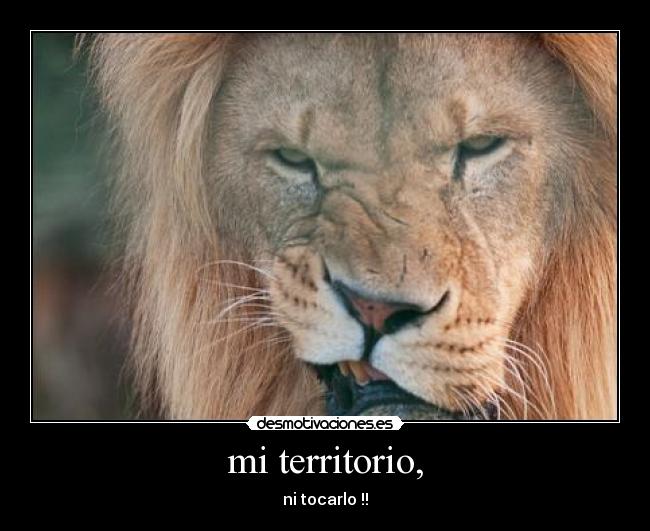 mi territorio, - ni tocarlo !!