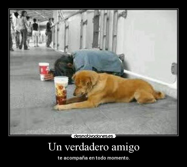 Un verdadero amigo -