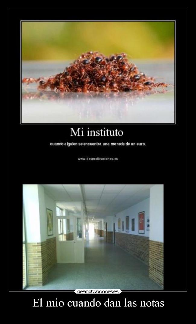 El mio cuando dan las notas -