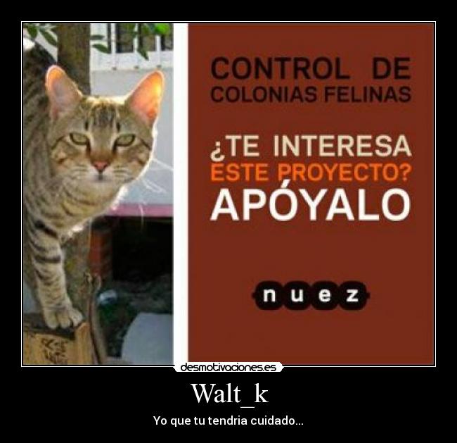 Walt_k - Yo que tu tendria cuidado...