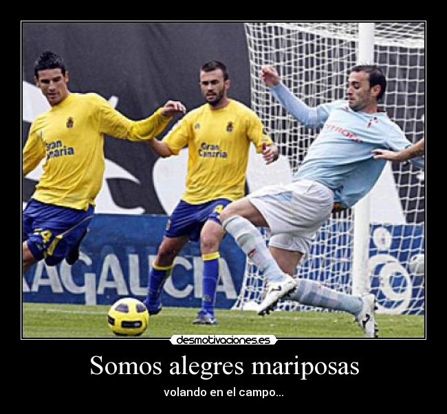 Somos alegres mariposas - volando en el campo...