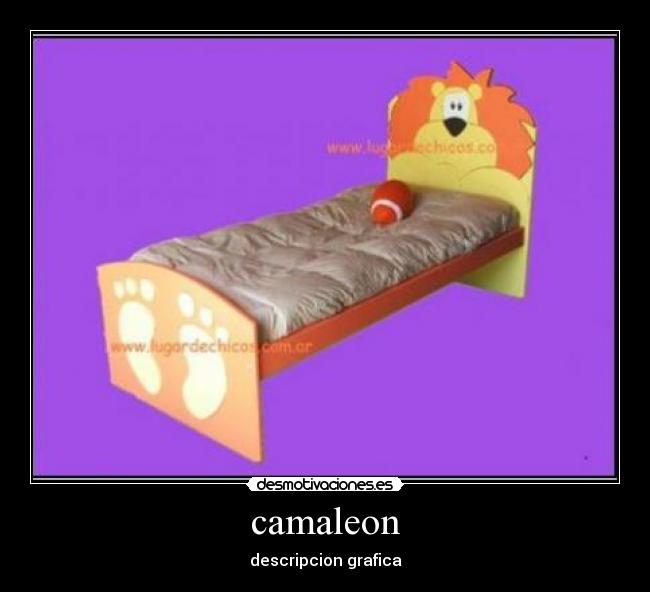 camaleon - 