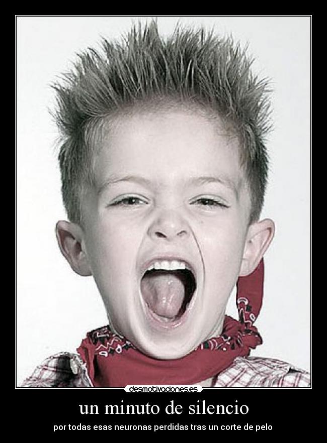 un minuto de silencio - por todas esas neuronas perdidas tras un corte de pelo