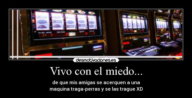 Vivo con el miedo... - 