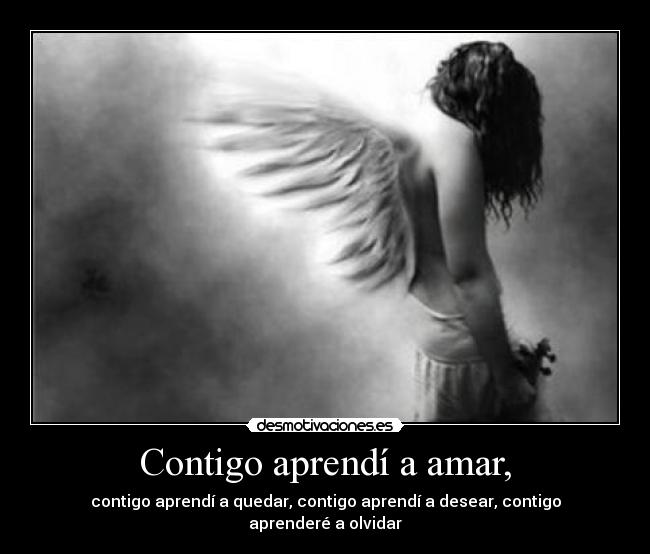 Contigo aprendí a amar, - contigo aprendí a quedar, contigo aprendí a desear, contigo aprenderé a olvidar