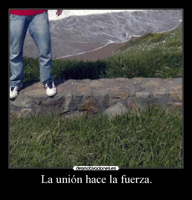 La unión hace la fuerza. -