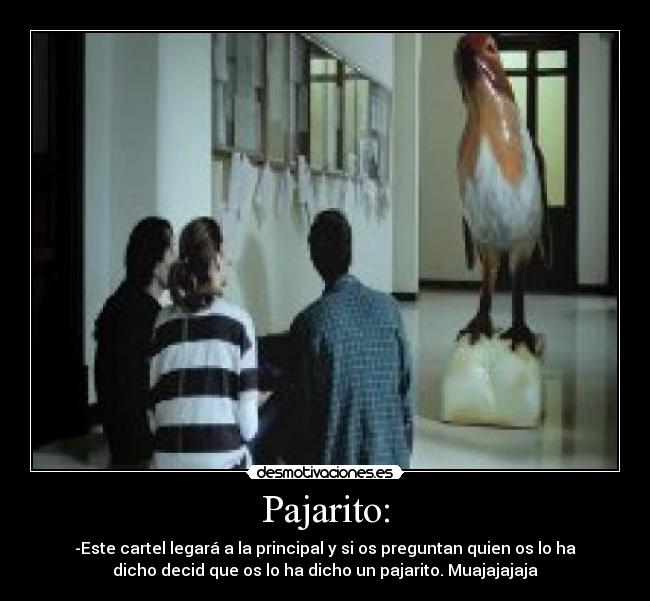Pajarito: -