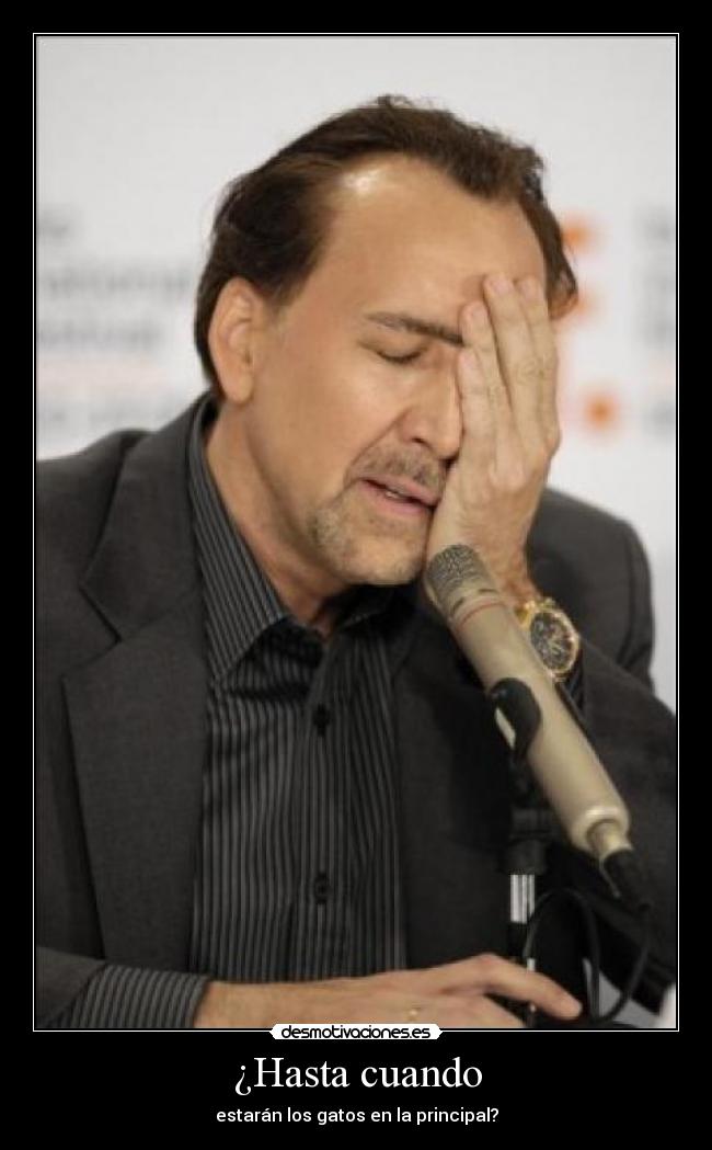¿Hasta cuando - estarán los gatos en la principal?