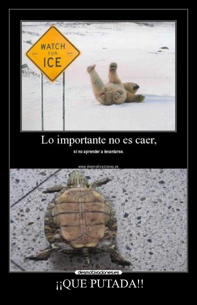 ¡¡QUE PUTADA!! -