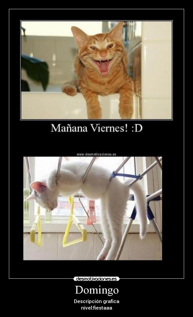 Domingo - Descripción grafica
nivel:fiestaaa