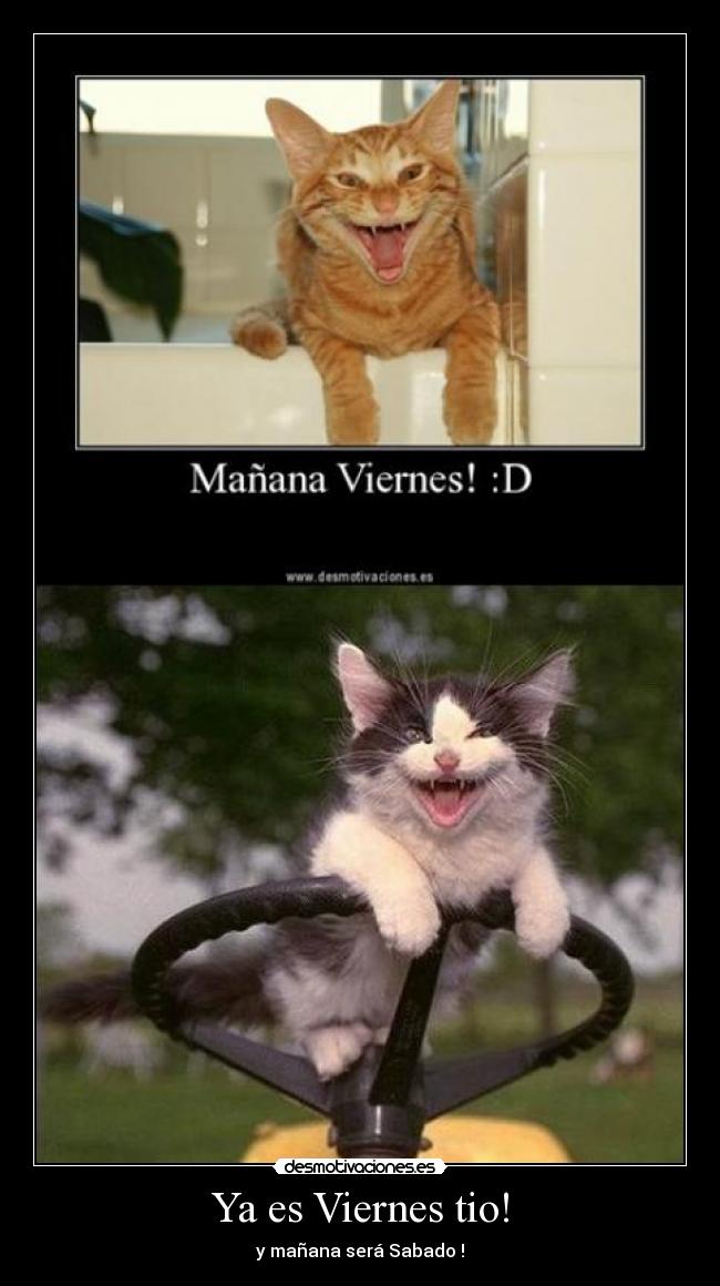 Ya es Viernes tio! - y mañana será Sabado !