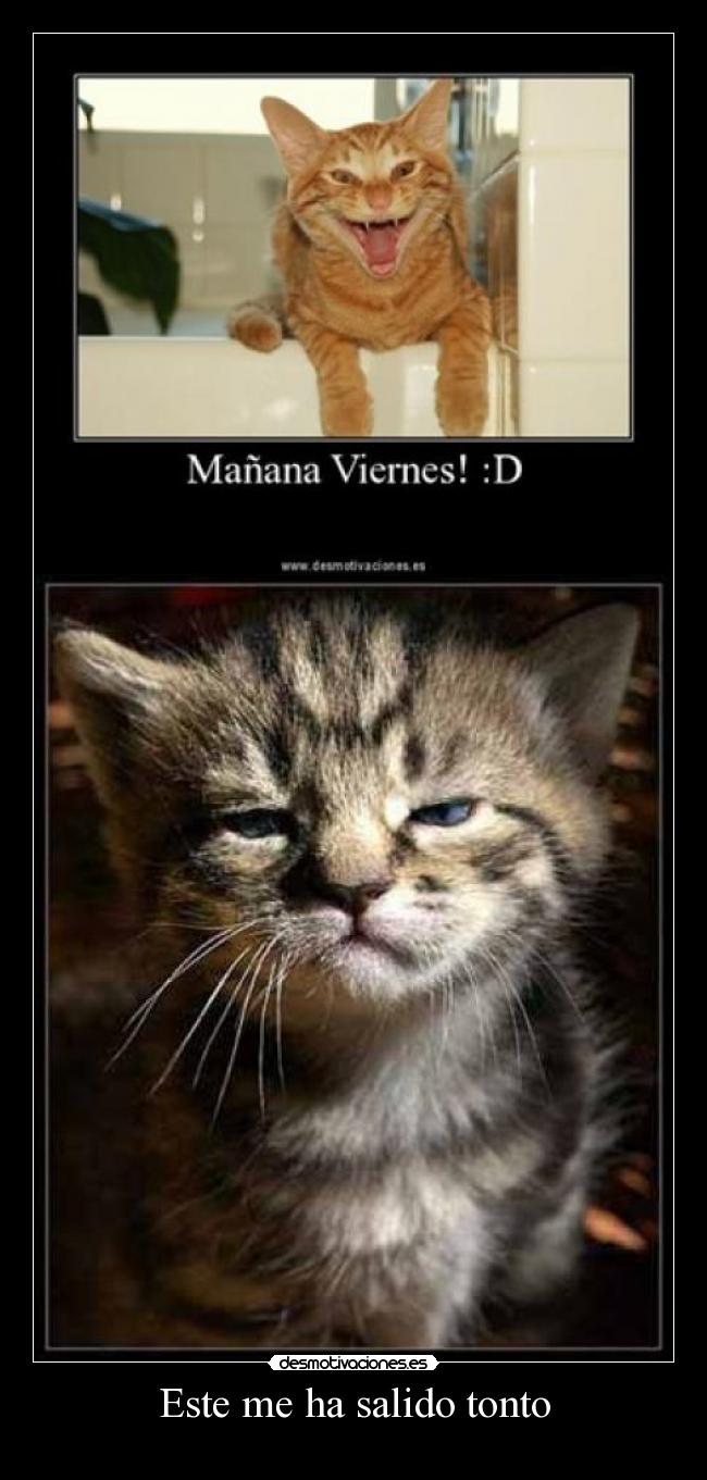 Este me ha salido tonto - 