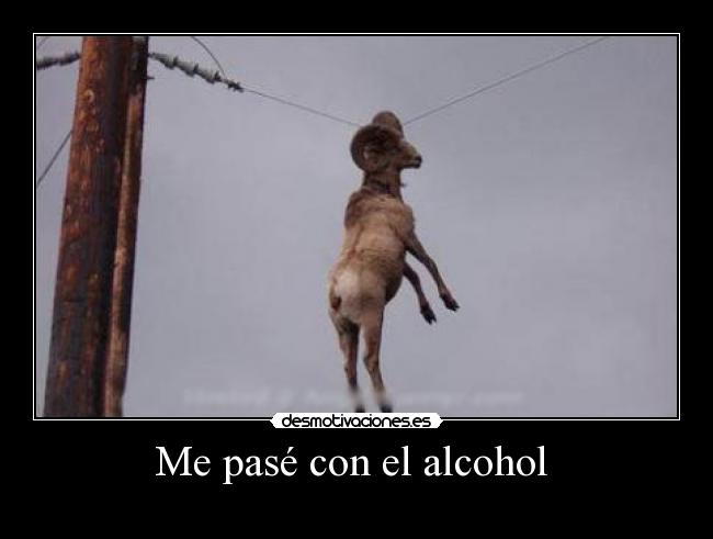 Me pasé con el alcohol  - 