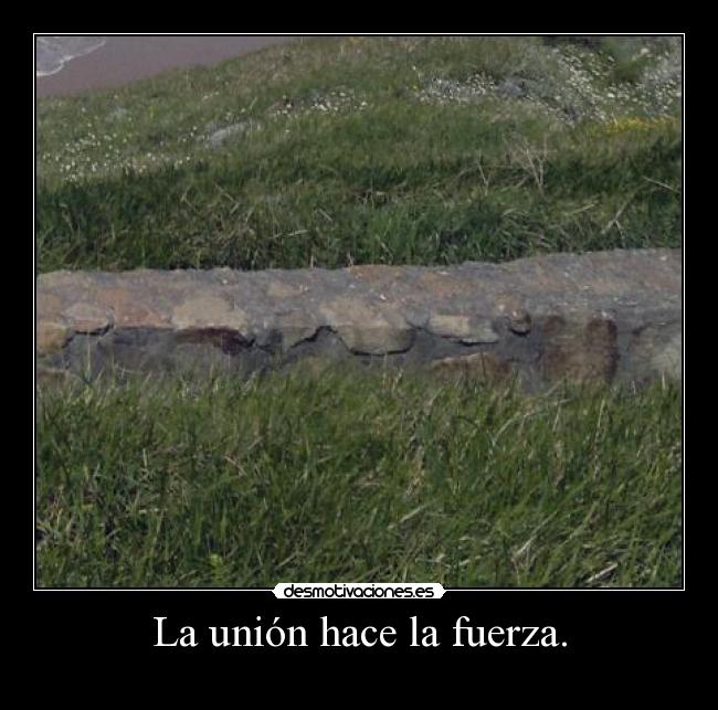 La unión hace la fuerza. -