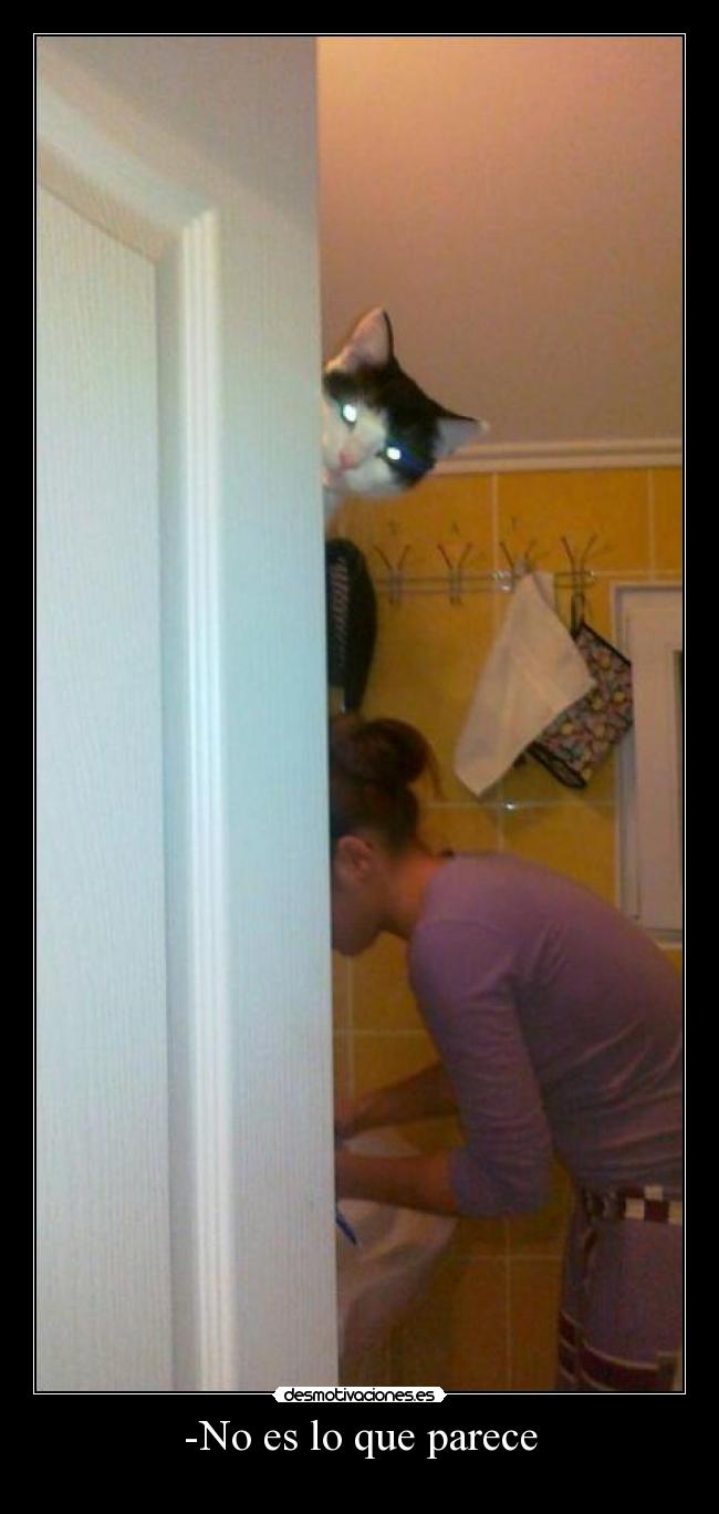 -No es lo que parece - 