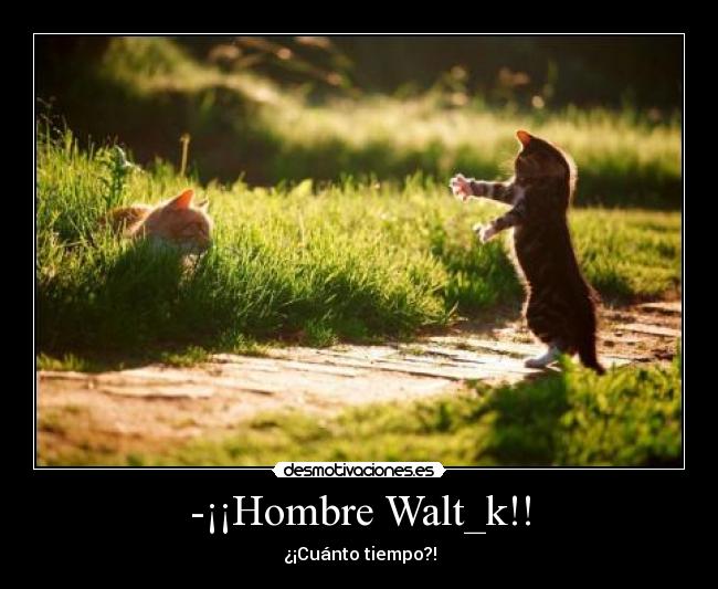 -¡¡Hombre Walt_k!! -