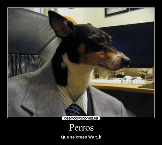 Perros - Que se creen Walt_k