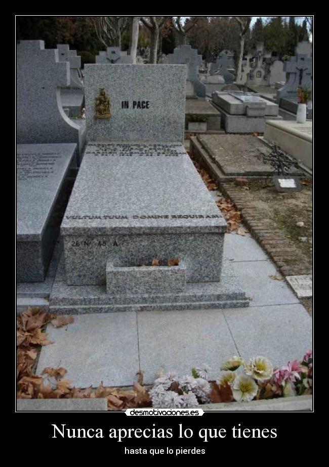 Nunca aprecias lo que tienes - hasta que lo pierdes