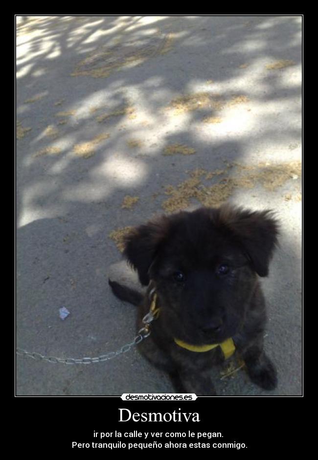 Desmotiva - ir por la calle y ver como le pegan.
Pero tranquilo pequeño ahora estas conmigo.