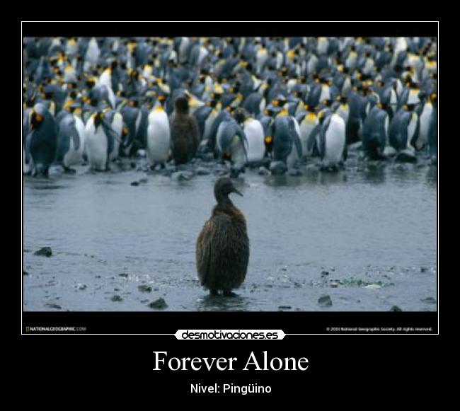 Forever Alone - 