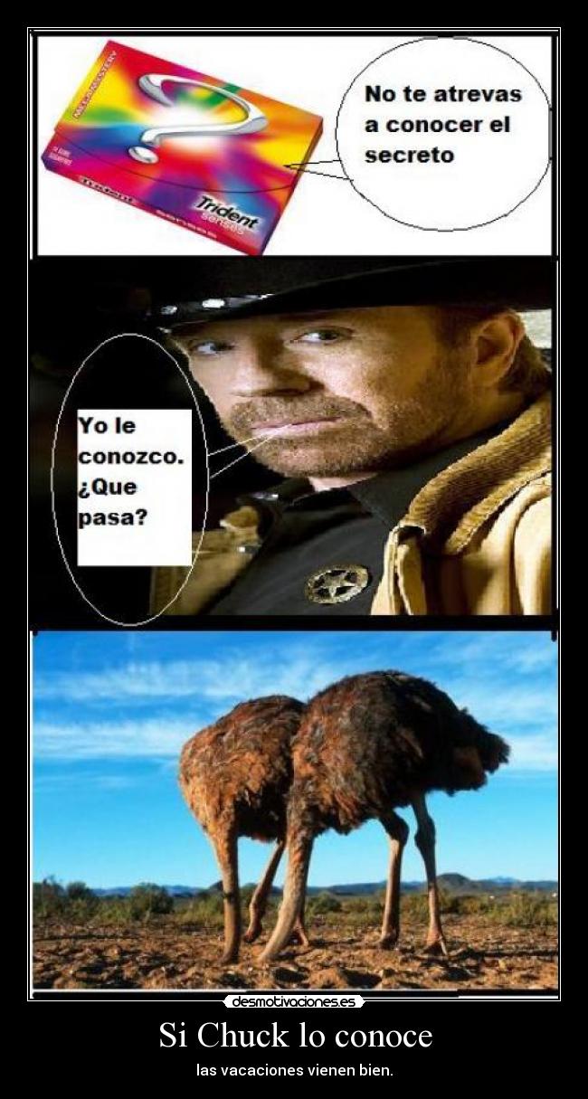 Si Chuck lo conoce -