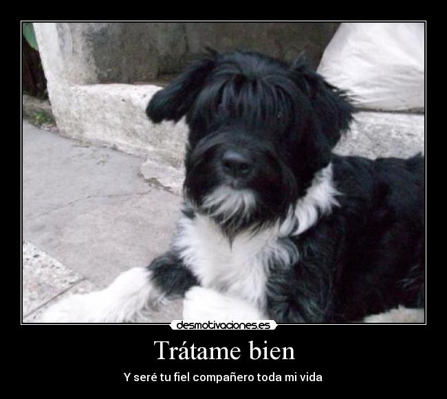 Trátame bien - 