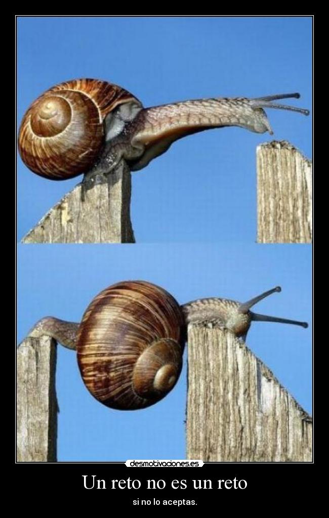 Un reto no es un reto -
