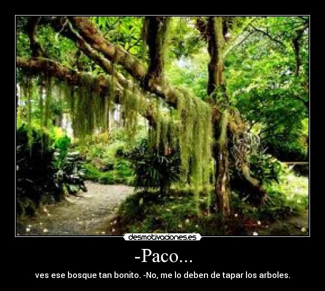 -Paco... -