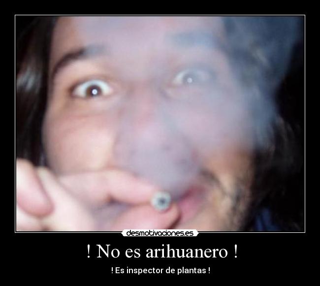 ! No es arihuanero ! -