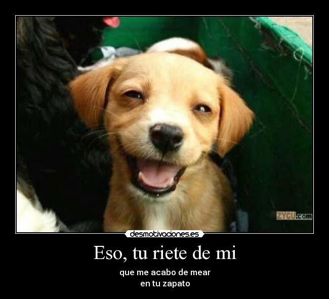 Eso, tu riete de mi - que me acabo de mear
en tu zapato
