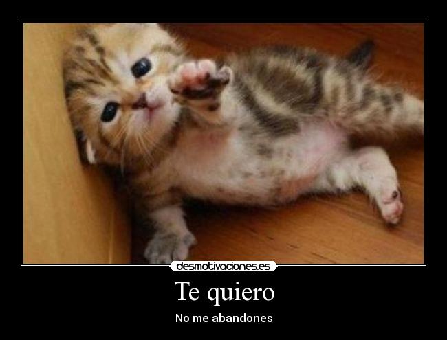 Te quiero - No me abandones