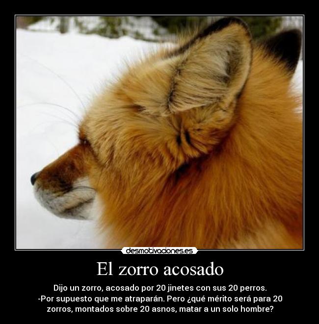 carteles zorro acosado desmotivaciones