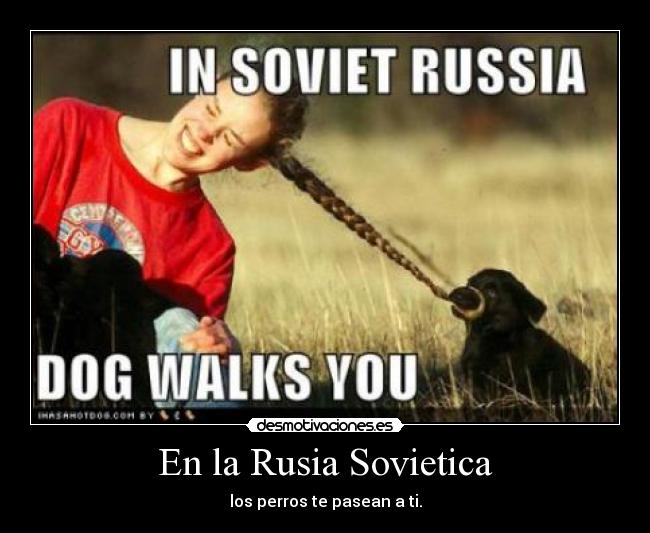 En la Rusia Sovietica - los perros te pasean a ti.