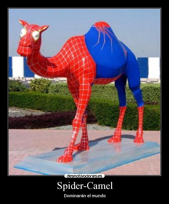 carteles spider camel man superheroe chucknorris98 walt_k principal cola desmotivaciones