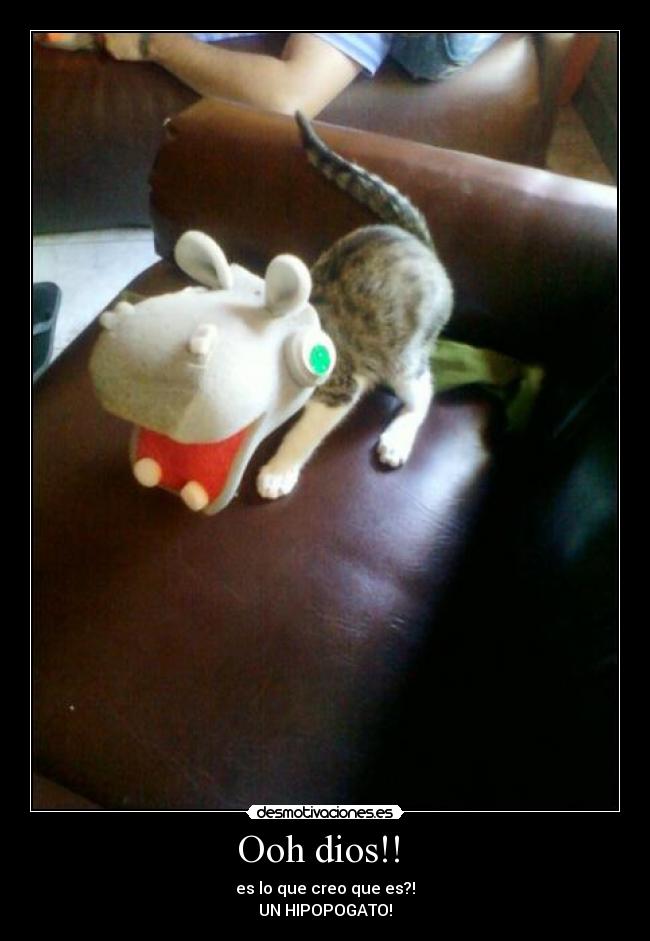 Ooh dios!!  - es lo que creo que es?!
UN HIPOPOGATO!