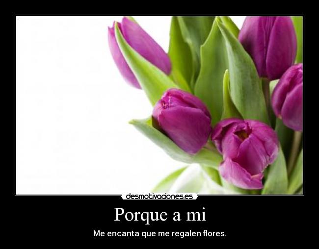 carteles flores desmotivaciones