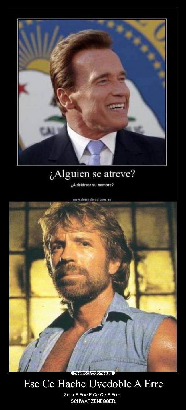 carteles schwarzenegger chuck norris desmotivaciones