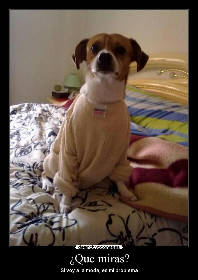 carteles problema desmotivaciones